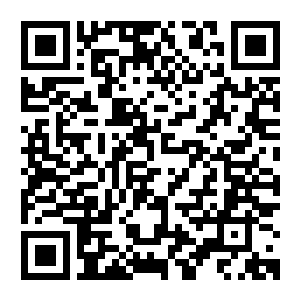 Android Version